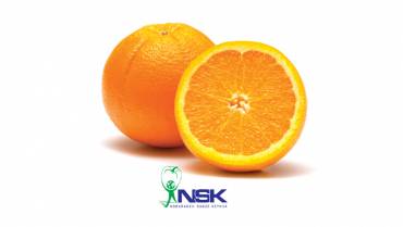 پرتقال 3 370x209 - محصولات صادراتی
