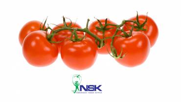 گوجه گیلاسی 3 370x209 - محصولات صادراتی