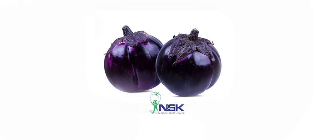 Export of Dolme eggplant to Russia