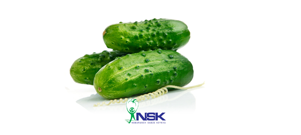 Export of Barbed cucumber to Russia