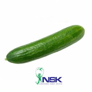 Export of Cucumber to Russia