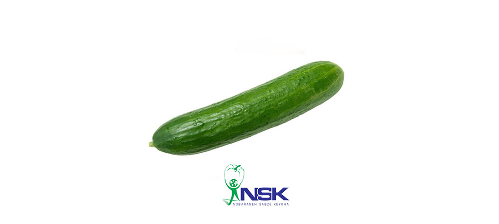 Export of Cucumber to Russia