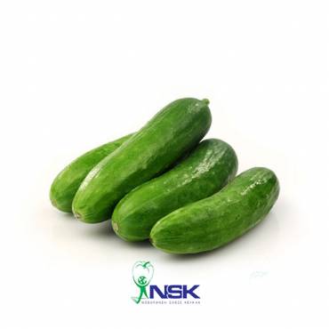 Export of Mini Cucumber to Russia