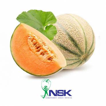 Export of Cantaloupe to Russia