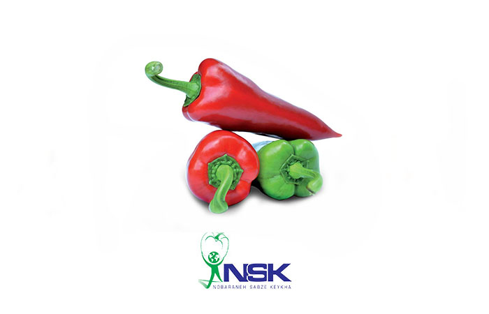 Export of Cup Pepper to Russia