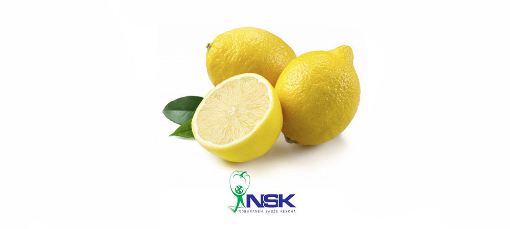 Экспорт лимона Лисбон из Ирана в Россию