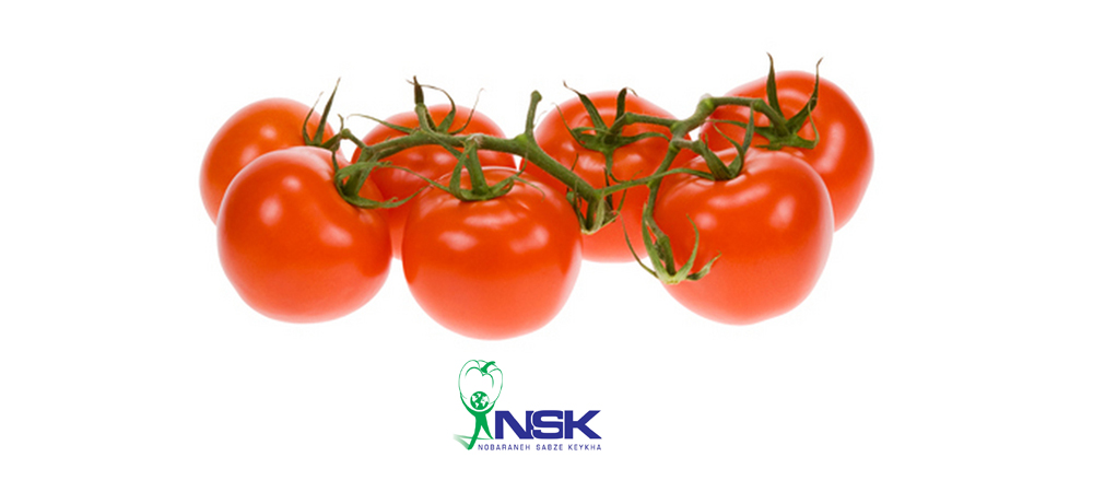 Export of Cherry tomatoes to Russia