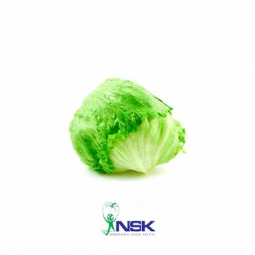 Export of Iceberg lettuce to Russia